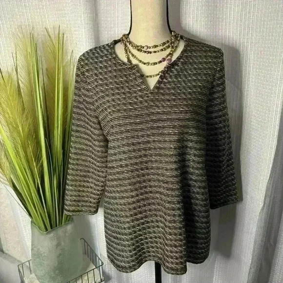 Chicos Women’s 1 US M 3/4 Sleeve Brown/White Striped Textured V Neck Tunic Top - Picture 1 of 13